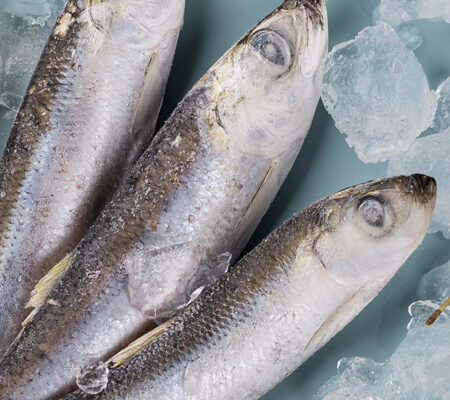 La Seguridad Alimentaria de los productos de la pesca. (Incluye todas las novedades legislativas)