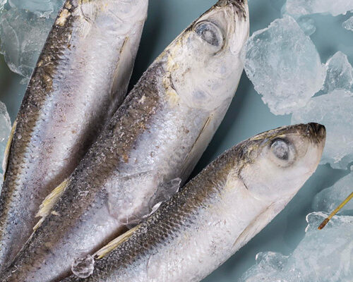 La Seguridad Alimentaria de los productos de la pesca. (Incluye todas las novedades legislativas)